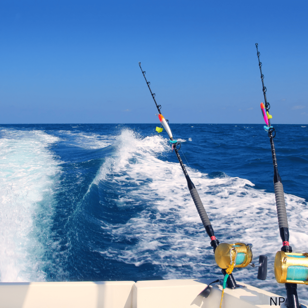 fishing charter boat gulf of mexico