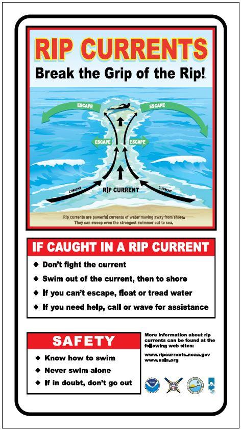 rip current safety graphic